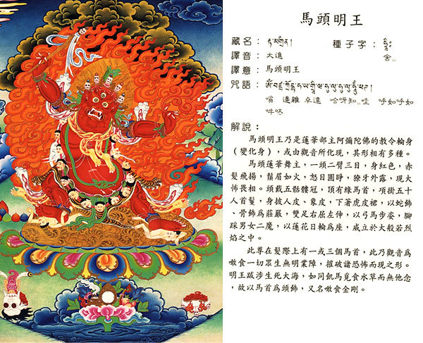 珍贵的藏密实修唐卡