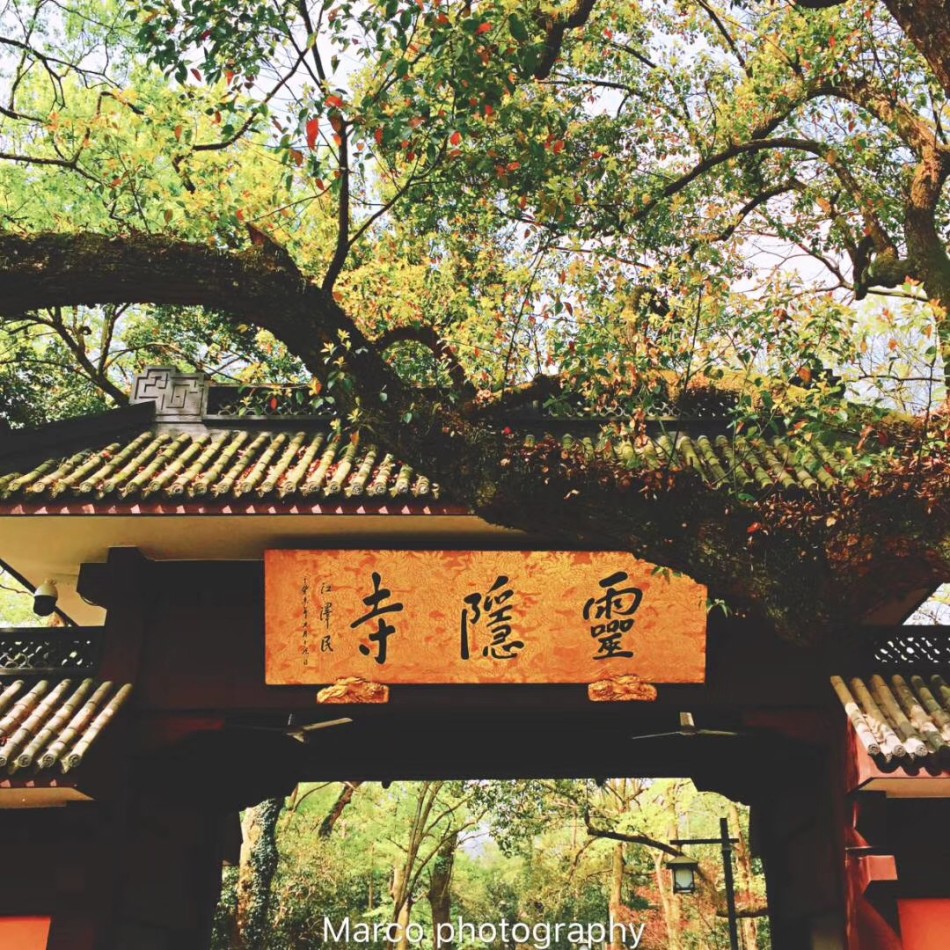 灵隐寺地处杭州西湖以西,背靠北高峰,面朝飞来峰,两峰挟峙,林木耸秀