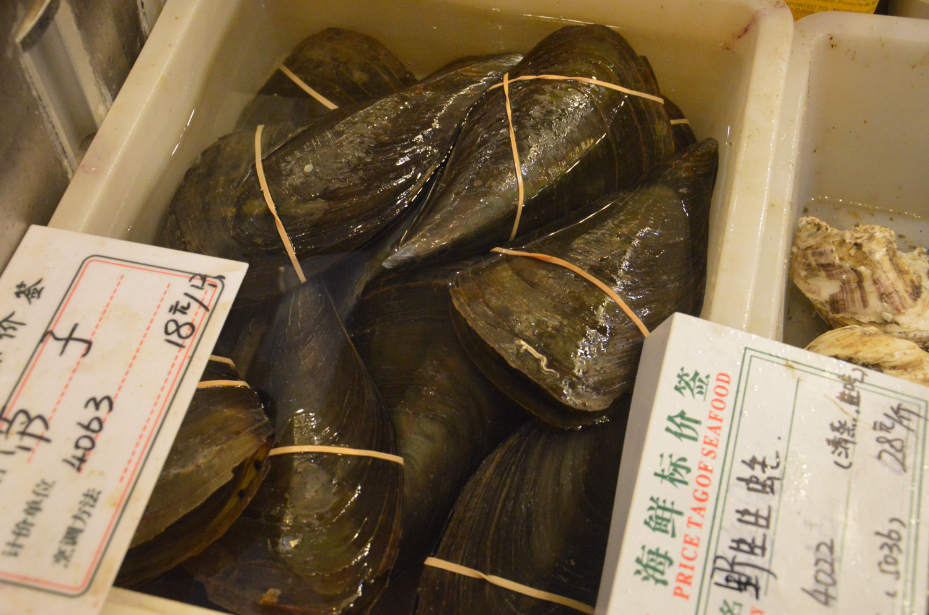 现在吃海鲜好_深圳澳头吃海鲜_现在电动车那个车好(2)