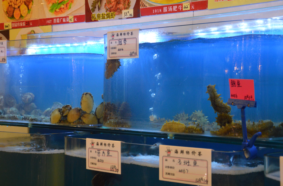 现在吃海鲜好_深圳澳头吃海鲜_现在电动车那个车好(3)