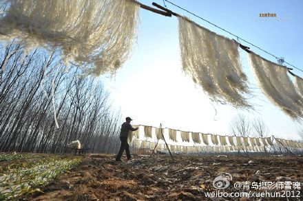洋河镇人口_地道工艺,洋河镇人世代传承!-端午这里要火了 在攸县一百块钱可以(3)
