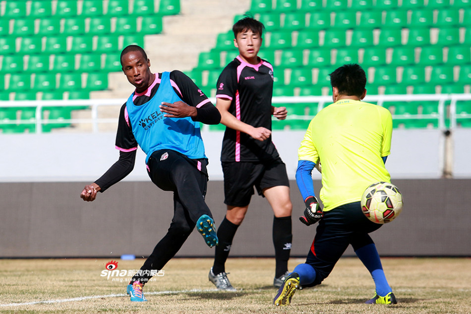 法布雷加斯转会