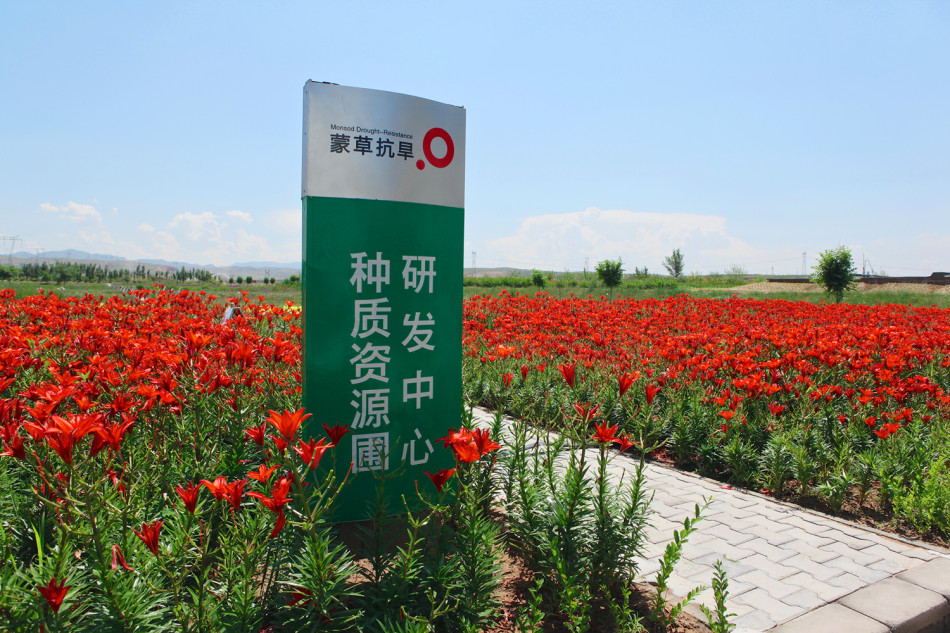 世界杯网络直播频道-乐鱼app(leyu)官方网站-乐鱼官网