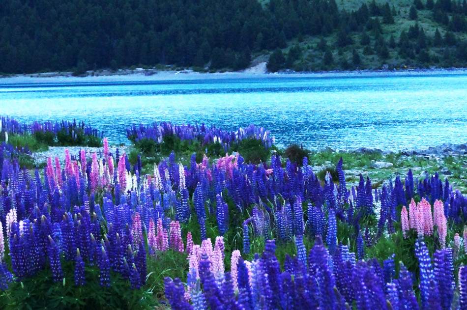 风景头像唯美高冷 57328_40860_274857.jpg