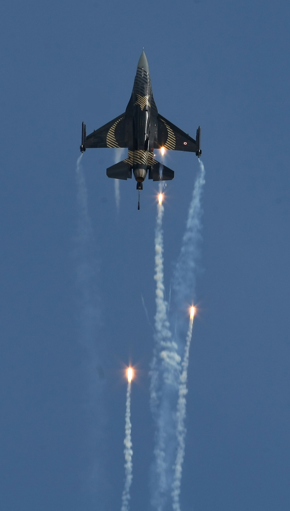 土耳其總統身著飛行員戰鬥服參加空軍建軍節