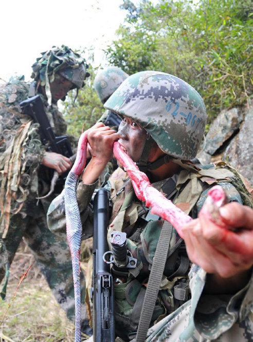 中国特种兵训练残酷野外生存吃活蛇_高清图集_新浪网