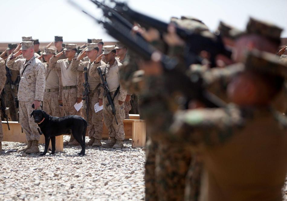 人狗同悲傷：駐阿美軍為陣亡士兵舉行追悼會