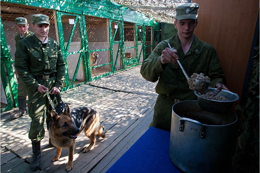 俄軍犬訓練基地曝光 夥食管飽還有美女探訪
