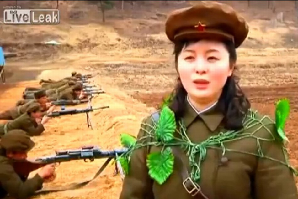 朝鲜士兵身披另类伪装颜色鲜艳