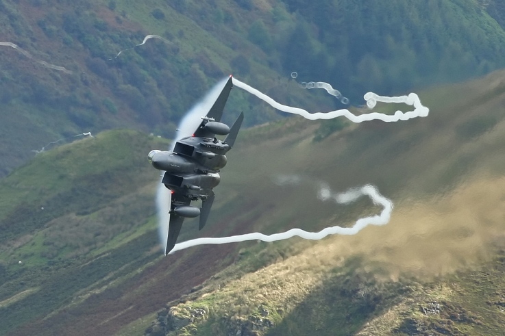 姚夏-乐鱼app(leyu)官方网站-乐鱼官网