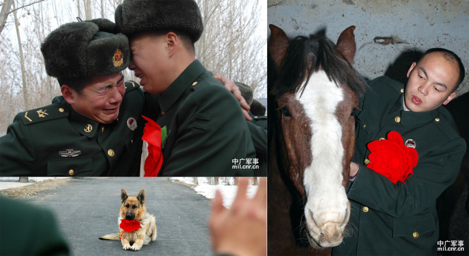 东亚杯中国澳大利亚-乐鱼app(leyu)官方网站-乐鱼官网