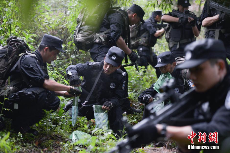 中央七套-乐鱼app(leyu)官方网站-乐鱼官网