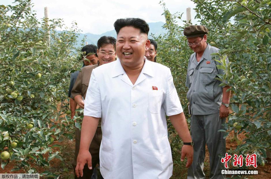 虎丛林中窥探-乐鱼app(leyu)官方网站-乐鱼官网