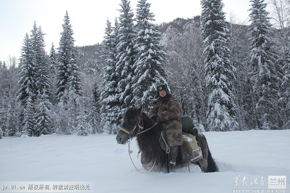 弗格森宣布退休