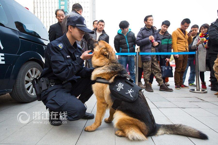 杭州警犬待遇高 工作两小时伙食配牛肉鱼肝油_高清图集_新浪网