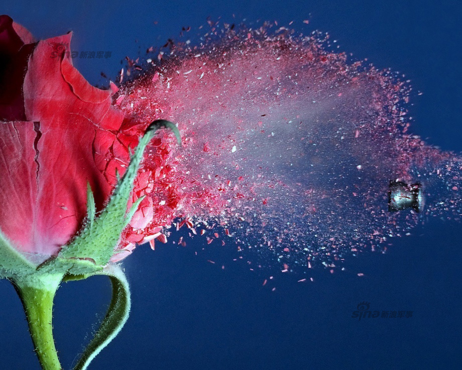 荷兰阿根廷-乐鱼app(leyu)官方网站-乐鱼官网