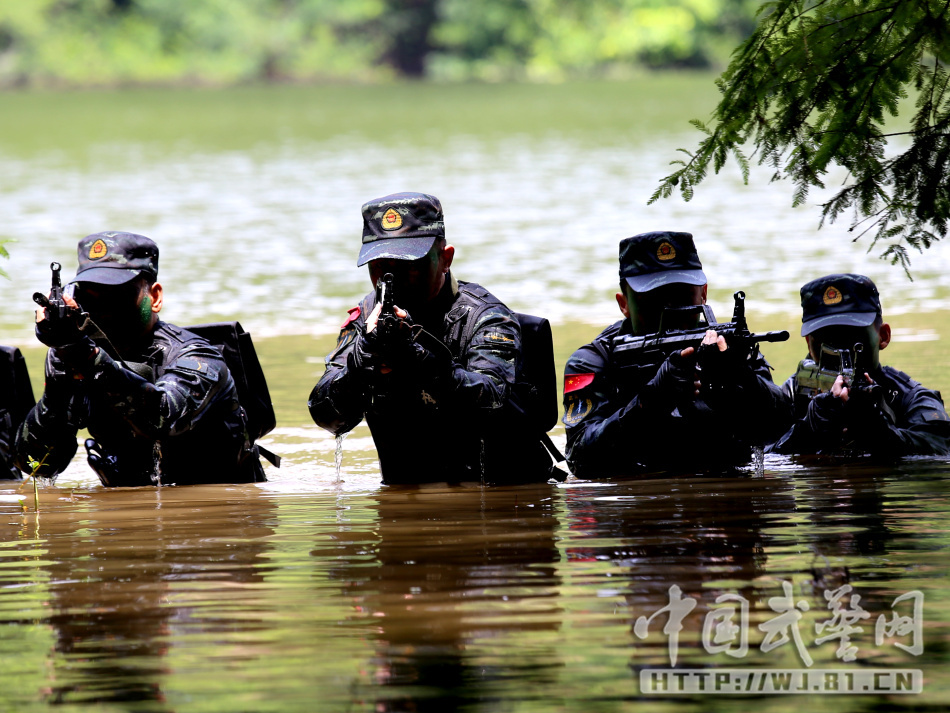 凯尔特人视频-乐鱼app(leyu)官方网站-乐鱼官网