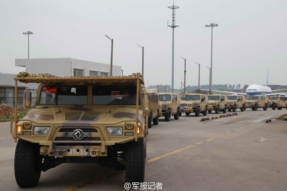 plu直播-乐鱼app(leyu)官方网站-乐鱼官网