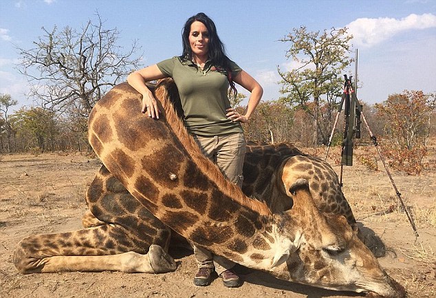 湖北经视直播在线观看-乐鱼app(leyu)官方网站-乐鱼官网