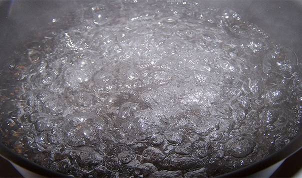 646_450315_593620.jpg
