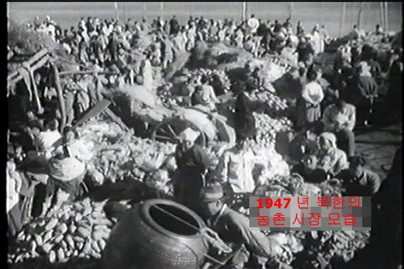 收入证明_农民经济收入低