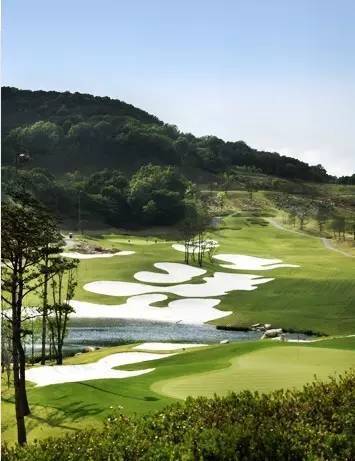 分别为星州高尔夫球场、厌俗山和喜鹊山。据悉，韩美联合工作组认为星州高尔夫球场是最合适的部署地。国防部另一名有关人士表示，此次公布的结果可以看作是“萨德”最终部署地。