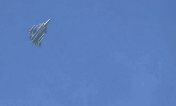 193_234061_771009.gif
