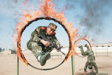 侯սԱȦ