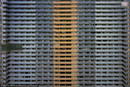 香港人口种类_香港人口密度