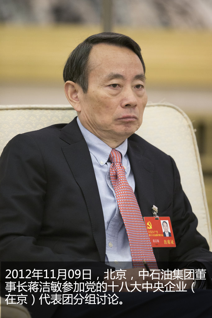 中石油的老总_中石油老总王宜林(2)