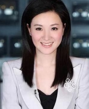 经济信息联播 章艳_深圳卫视经济信息联播章艳简历