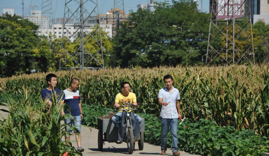 寸土寸金!北京三环内藏世界最贵农田_聚会写