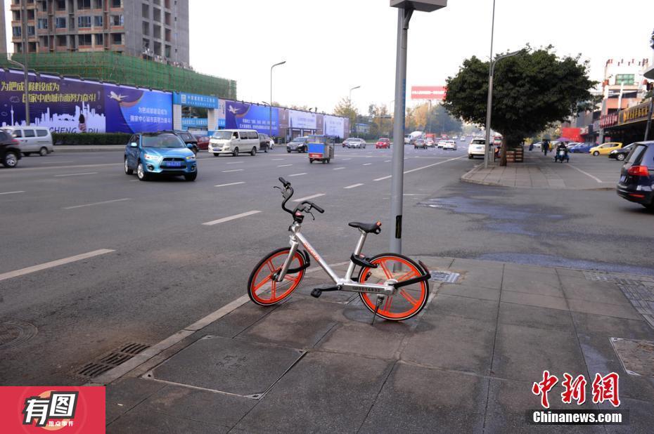 免费骑共享单车有什么办法 35787_5434693_947017.jpg