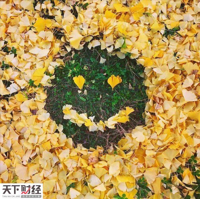 艺术"扫地僧":化落叶为神奇