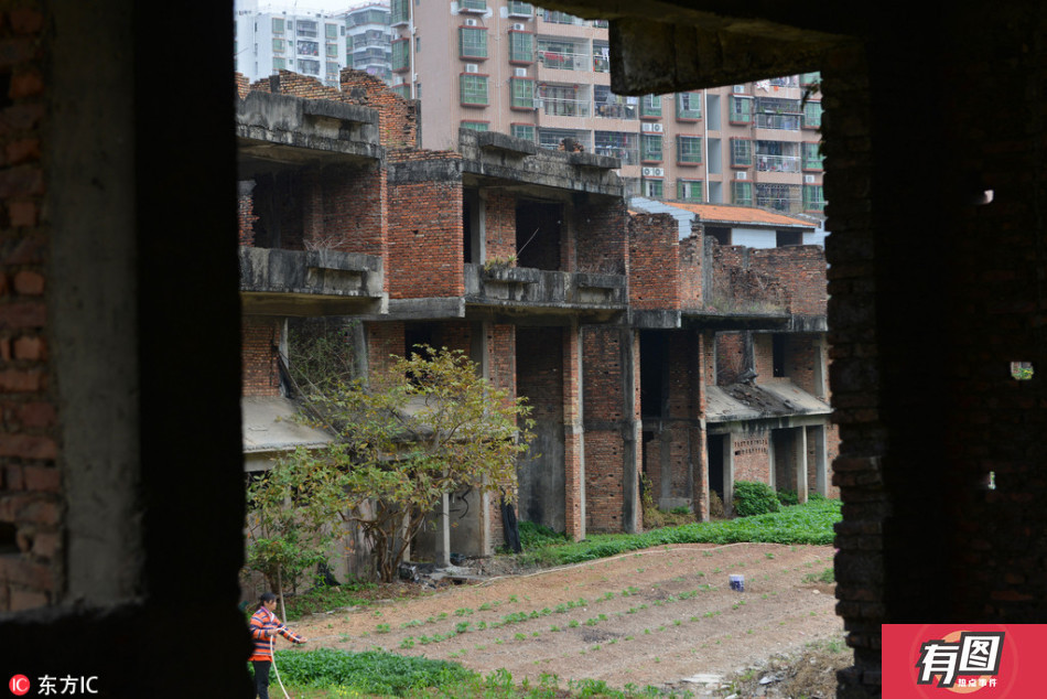 电脑上wap网:烂尾别墅荒废25年成菜地_新浪图片