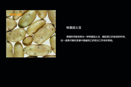 转基因大豆将入更多食品领域 八成网友不买账