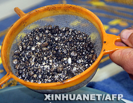 美国打捞出西班牙沉船宝藏价值百万美元(图)