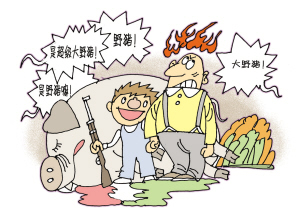 我只想说出真相:那只是一头大猪,而不是野猪。