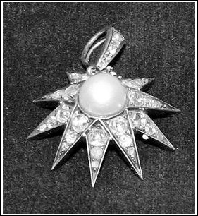 茜茜之星大盗落网(图)