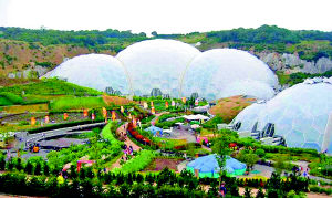 沙特打造世界最大沙漠花园