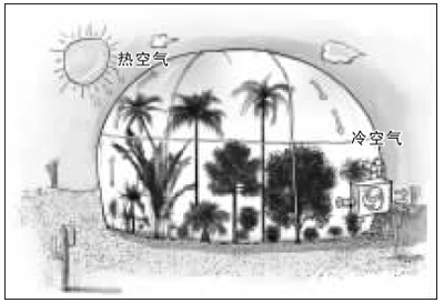 伊甸花园现身沙漠