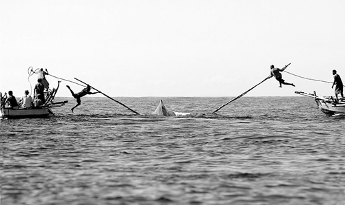 木船 标枪 绳索--印尼渔民用最原始方法捕鲸