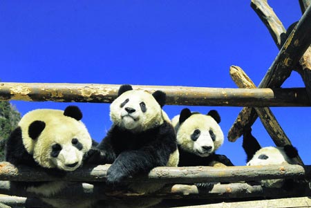 世界最杰出的野生动物学家之一乔治·夏勒专访