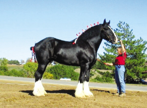 ����һ��������2��