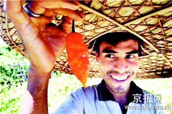 印度出产辣椒号称全球最辣 每公斤售价6.2美元