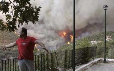 ϣ�����ֻ��������ʮ��ɥ��