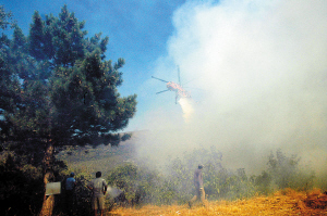 �ݻ��ջ�ϣ��ȫ��ɽ��