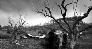 ϣ��һ�����Ϲ�����ȼ��12+1������Աȫ�����