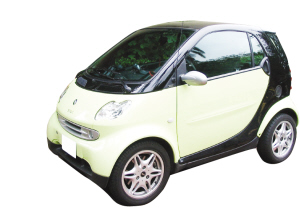 ����������˫������