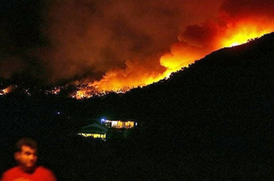 ϣ��ɭ�ִ�������63������